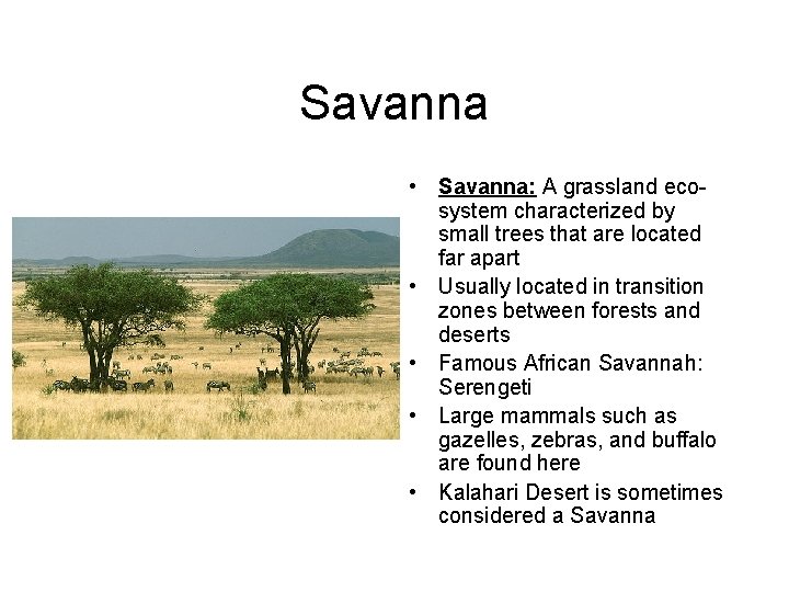 Savanna • Savanna: A grassland ecosystem characterized by small trees that are located far