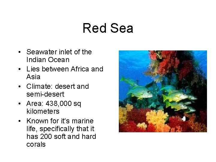 Red Sea • Seawater inlet of the Indian Ocean • Lies between Africa and