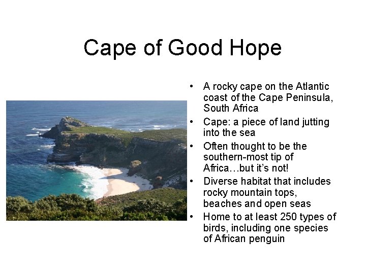 Cape of Good Hope • A rocky cape on the Atlantic coast of the