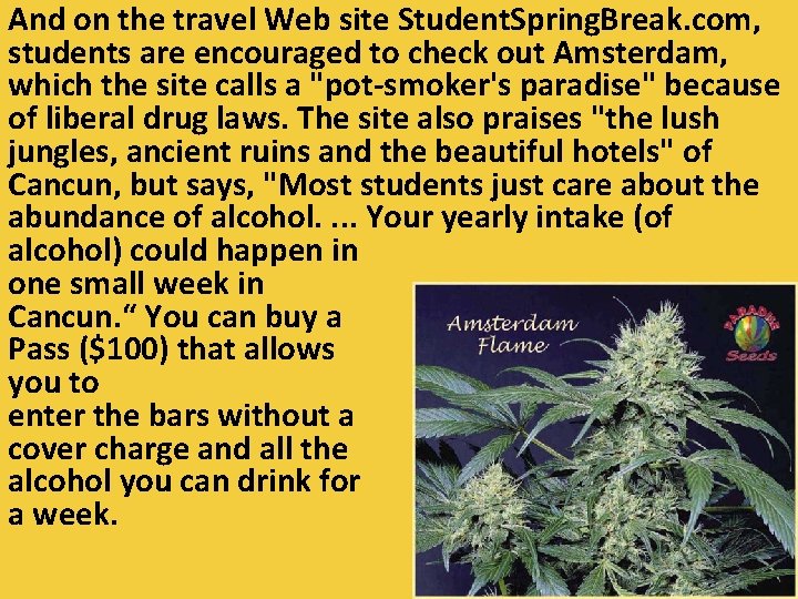 And on the travel Web site Student. Spring. Break. com, students are encouraged to