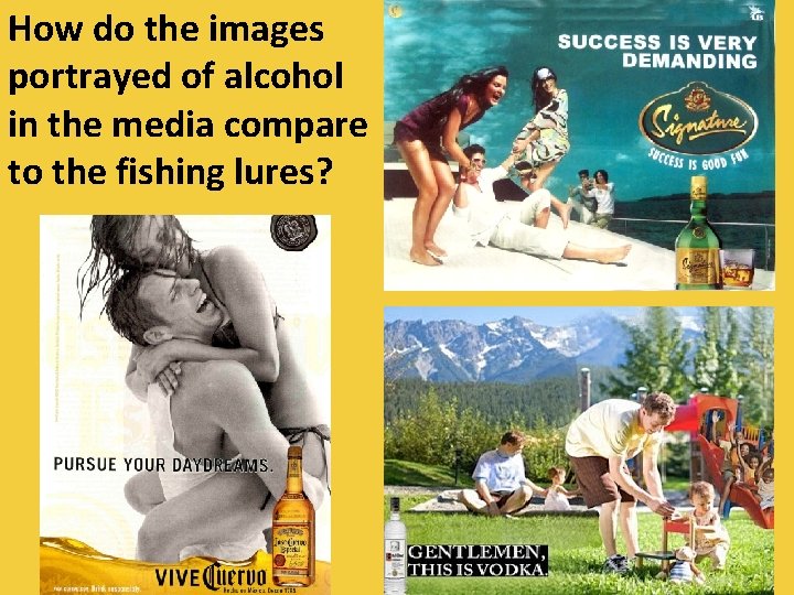 How do the images portrayed of alcohol in the media compare to the fishing