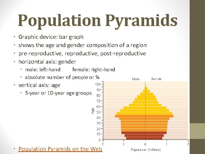 Population Pyramids • • Graphic device: bar graph shows the age and gender composition