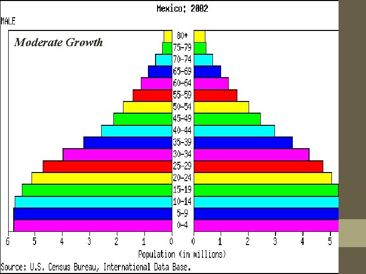 Moderate Growth 