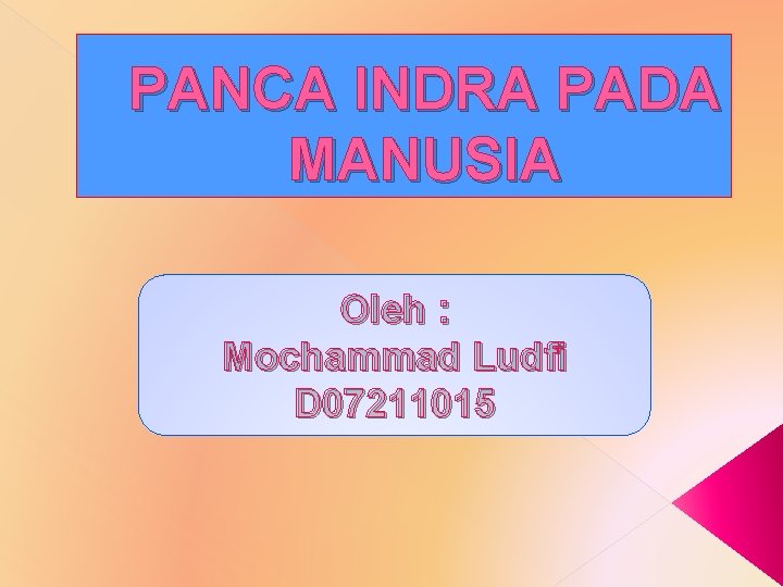 PANCA INDRA PADA MANUSIA Oleh : Mochammad Ludfi D 07211015 