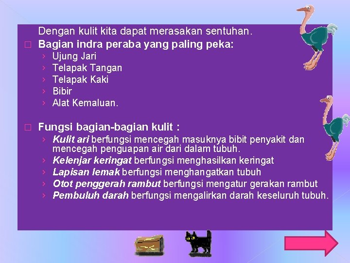 Dengan kulit kita dapat merasakan sentuhan. � Bagian indra peraba yang paling peka: ›