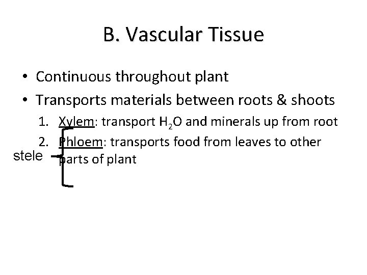 B. Vascular Tissue • Continuous throughout plant • Transports materials between roots & shoots