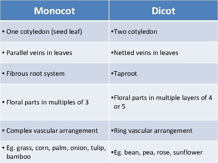 Monocot Dicot • One cotyledon (seed leaf) • Two cotyledon • Parallel veins in