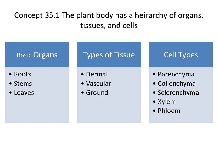 Concept 35. 1 The plant body has a heirarchy of organs, tissues, and cells