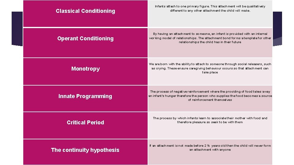 Classical Conditioning Infants attach to one primary figure. This attachment will be qualitatively different