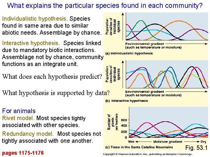 What explains the particular species found in each community? Individualistic hypothesis. Species found in