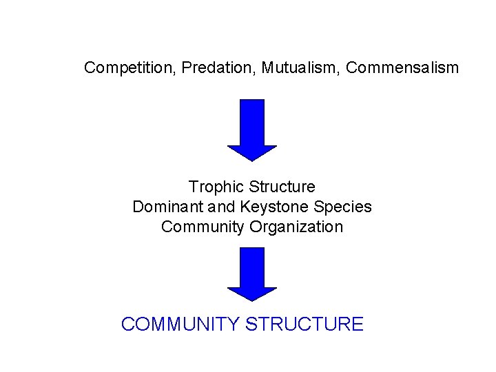 Species Interactions Competition, Predation, Mutualism, Commensalism Trophic Structure Dominant and Keystone Species Community Organization