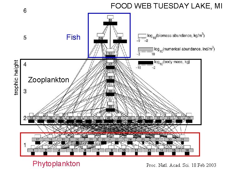 FOOD WEB TUESDAY LAKE, MI Fish Zooplankton Phytoplankton Proc. Natl. Acad. Sci. 18 Feb