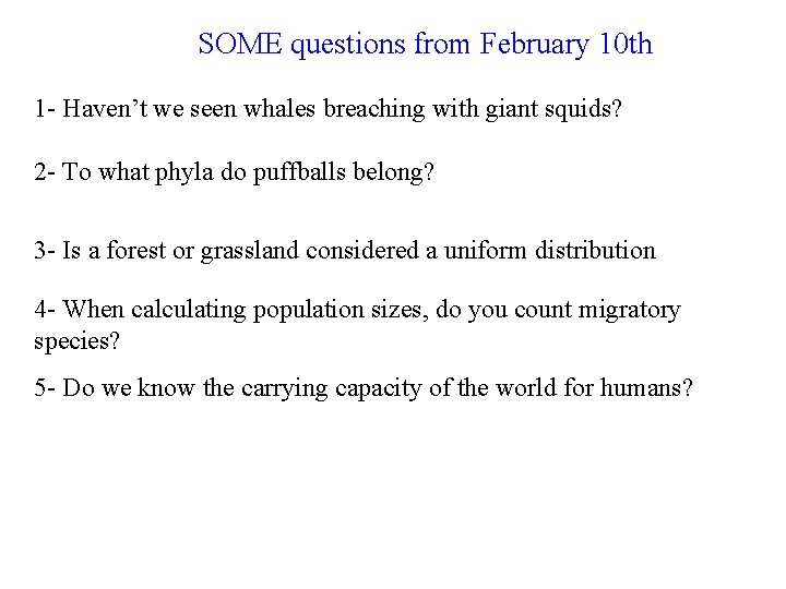 SOME questions from February 10 th 1 - Haven’t we seen whales breaching with