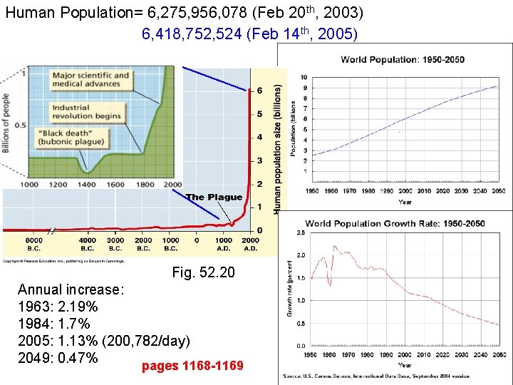 Human Population= 6, 275, 956, 078 (Feb 20 th, 2003) 6, 418, 752, 524