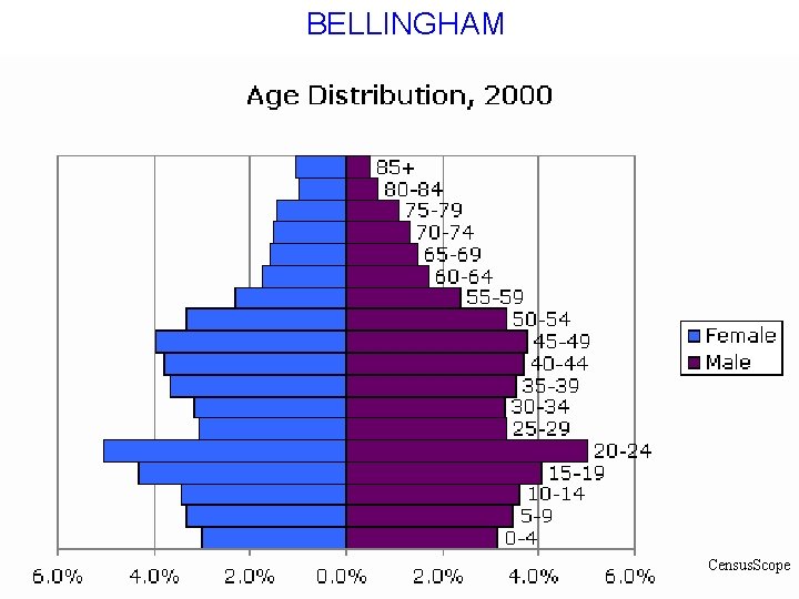 BELLINGHAM Census. Scope 