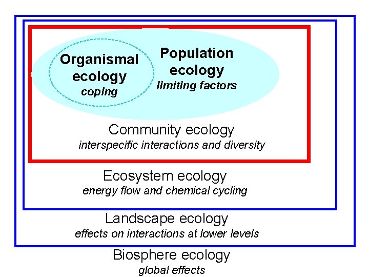 Organismal ecology coping Population ecology limiting factors Community ecology interspecific interactions and diversity Ecosystem