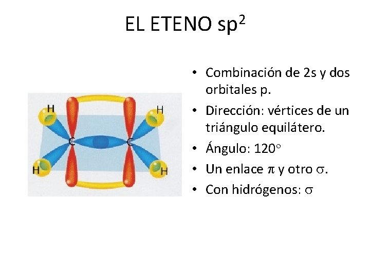 EL ETENO sp 2 • Combinación de 2 s y dos orbitales p. •