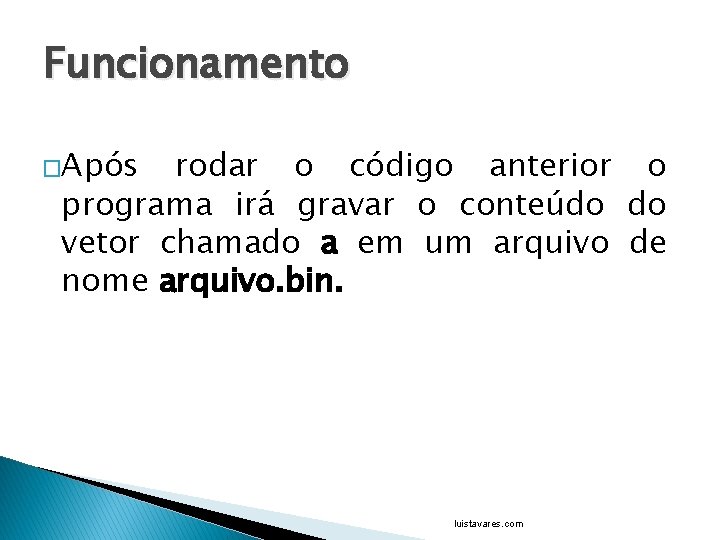 Funcionamento �Após rodar o código anterior o programa irá gravar o conteúdo do vetor