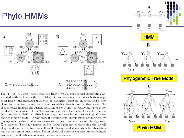 Phylo HMMs HMM Phylogenetic Tree Model Phylo HMM CS 273 a Lecture 10, Fall