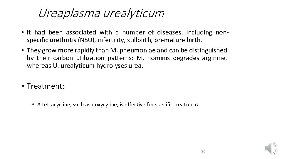 Ureaplasma urealyticum • It had been associated with a number of diseases, including nonspecific