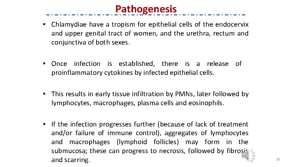 Pathogenesis • Chlamydiae have a tropism for epithelial cells of the endocervix and upper