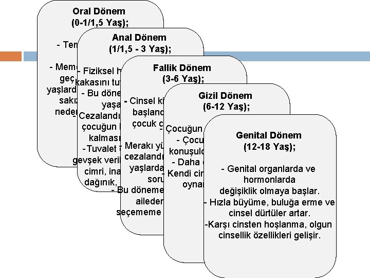 Oral Dönem (0 -1/1, 5 Yaş); Anal Dönem - Temel haz kaynağı (1/1, 5