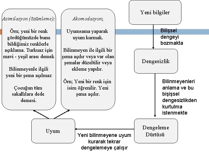 Yeni bilgiler Asimilasyon (özümleme); Akomodasyon; Örn; yeni bir renk gördüğümüzde bunu bildiğimiz renklerle açıklama.