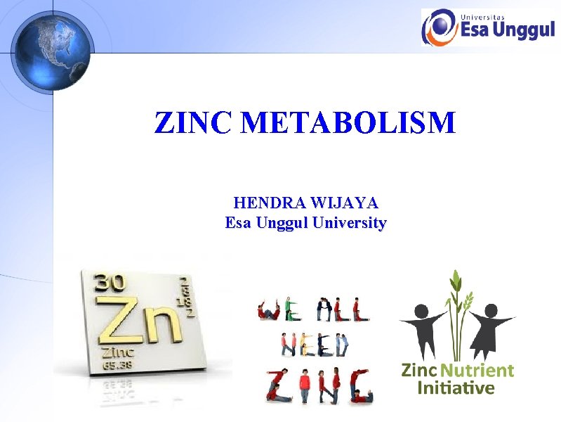 ZINC METABOLISM HENDRA WIJAYA Esa Unggul University 