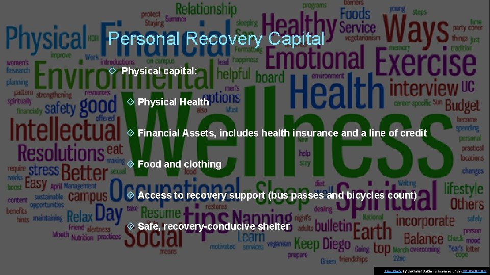 Personal Recovery Capital Physical capital: Physical Health Financial Assets, includes health insurance and a Personal Recovery Capital Physical capital: Physical Health Financial Assets, includes health insurance and a