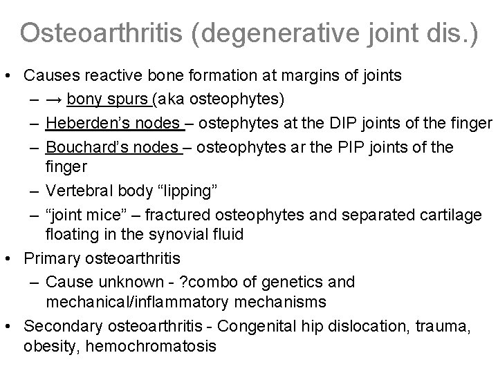 Osteoarthritis (degenerative joint dis. ) • Causes reactive bone formation at margins of joints