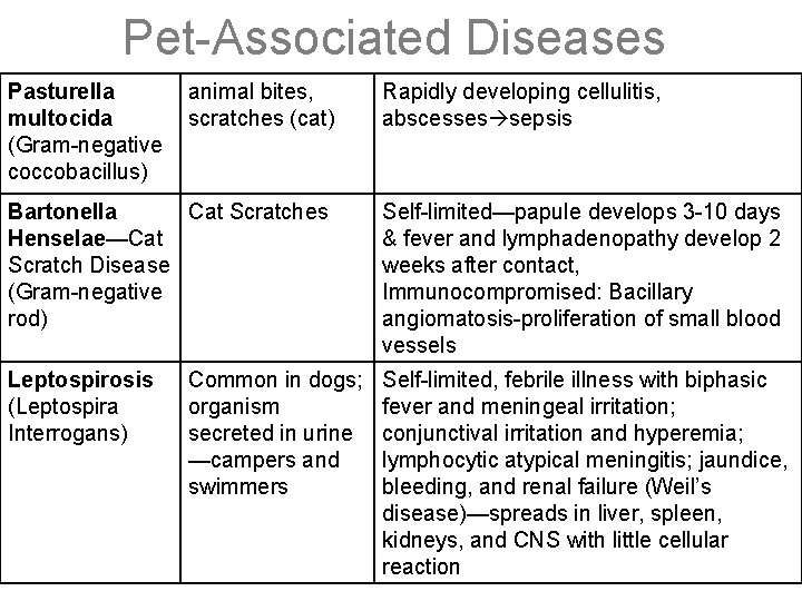 Pet-Associated Diseases Pasturella multocida (Gram-negative coccobacillus) animal bites, scratches (cat) Rapidly developing cellulitis, abscesses