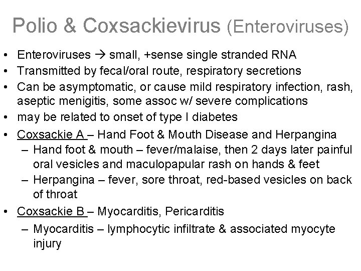 Polio & Coxsackievirus (Enteroviruses) • Enteroviruses small, +sense single stranded RNA • Transmitted by