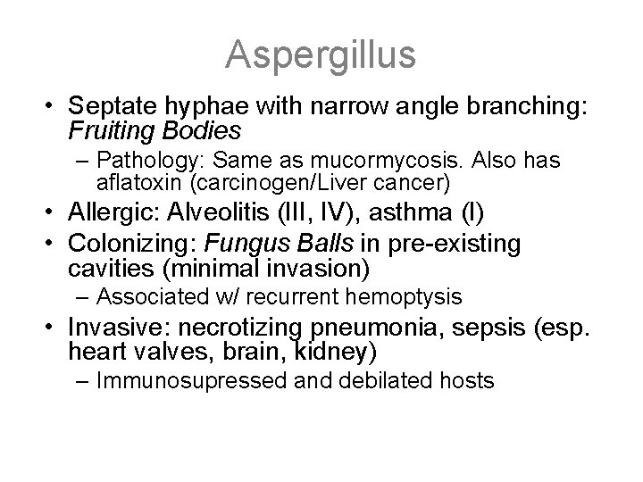 Aspergillus • Septate hyphae with narrow angle branching: Fruiting Bodies – Pathology: Same as