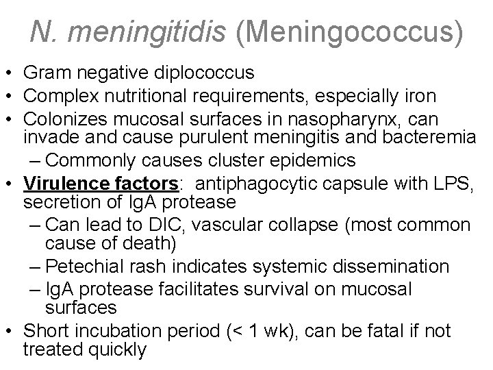 N. meningitidis (Meningococcus) • Gram negative diplococcus • Complex nutritional requirements, especially iron •