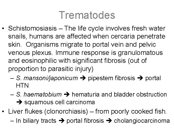 Trematodes • Schistomosiasis – The life cycle involves fresh water snails, humans are affected