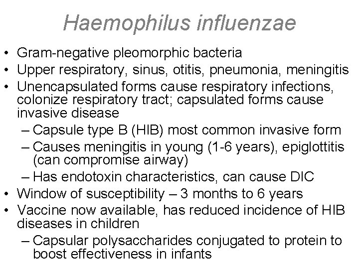 Haemophilus influenzae • Gram-negative pleomorphic bacteria • Upper respiratory, sinus, otitis, pneumonia, meningitis •