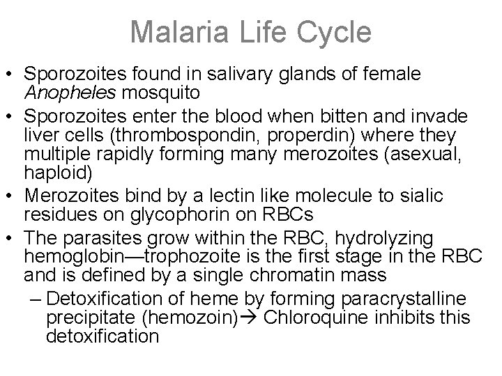 Malaria Life Cycle • Sporozoites found in salivary glands of female Anopheles mosquito •