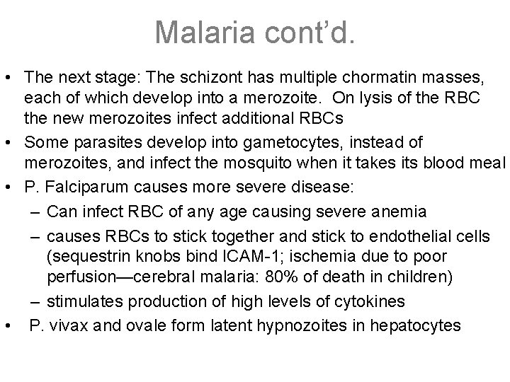 Malaria cont’d. • The next stage: The schizont has multiple chormatin masses, each of