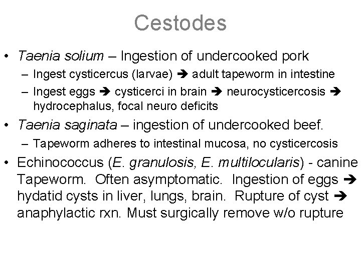 Cestodes • Taenia solium – Ingestion of undercooked pork – Ingest cysticercus (larvae) adult