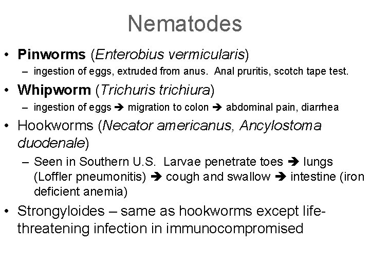 Nematodes • Pinworms (Enterobius vermicularis) – ingestion of eggs, extruded from anus. Anal pruritis,