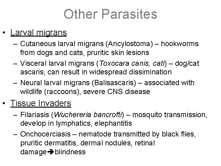 Other Parasites • Larval migrans – Cutaneous larval migrans (Ancylostoma) – hookworms from dogs