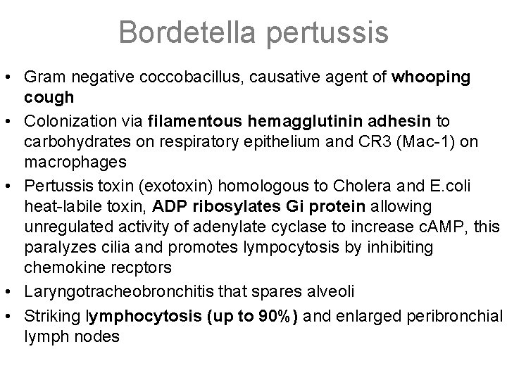 Bordetella pertussis • Gram negative coccobacillus, causative agent of whooping cough • Colonization via