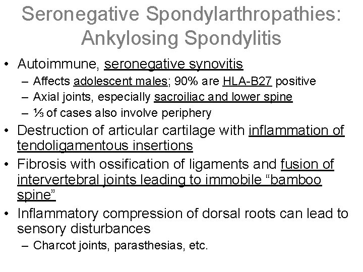 Seronegative Spondylarthropathies: Ankylosing Spondylitis • Autoimmune, seronegative synovitis – Affects adolescent males; 90% are