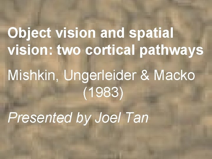 Object vision and spatial vision: two cortical pathways Mishkin, Ungerleider & Macko (1983) Presented