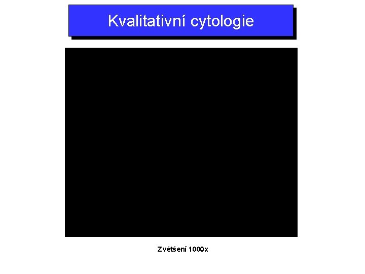 Kvalitativní cytologie Zvětšení 1000 x 