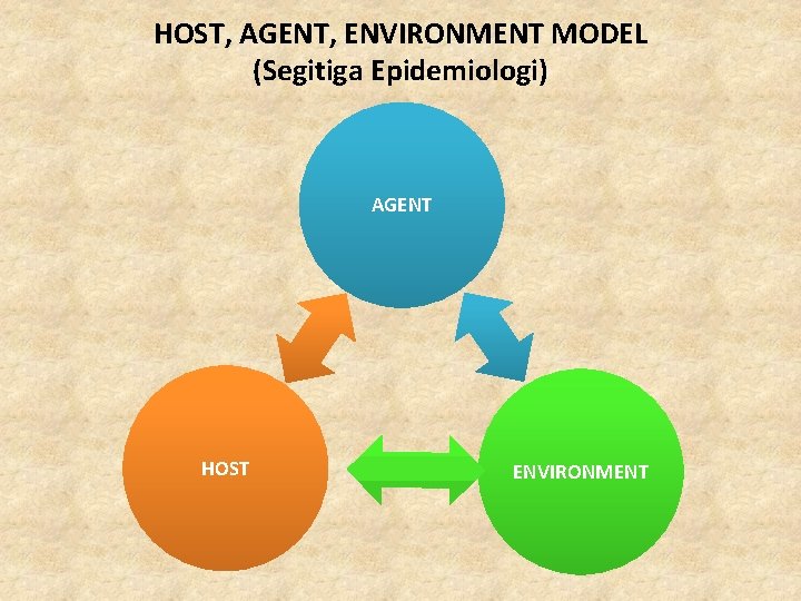 HOST, AGENT, ENVIRONMENT MODEL (Segitiga Epidemiologi) AGENT HOST ENVIRONMENT 