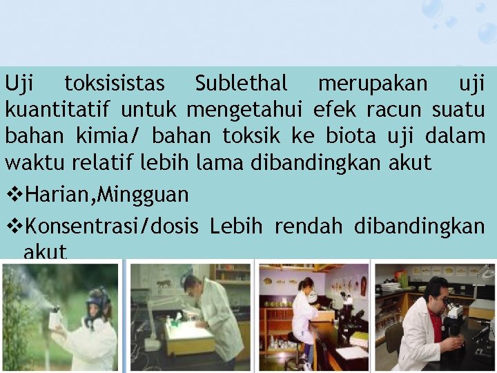 Uji toksisistas Sublethal merupakan uji kuantitatif untuk mengetahui efek racun suatu bahan kimia/ bahan