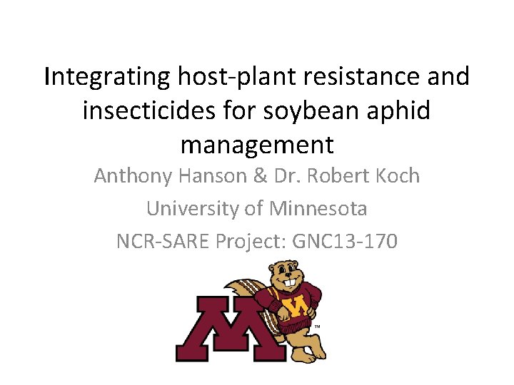 Integrating host-plant resistance and insecticides for soybean aphid management Anthony Hanson & Dr. Robert