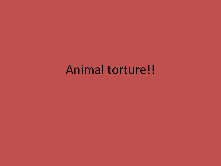 Animal torture!! 