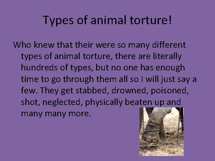 Types of animal torture! Who knew that their were so many different types of